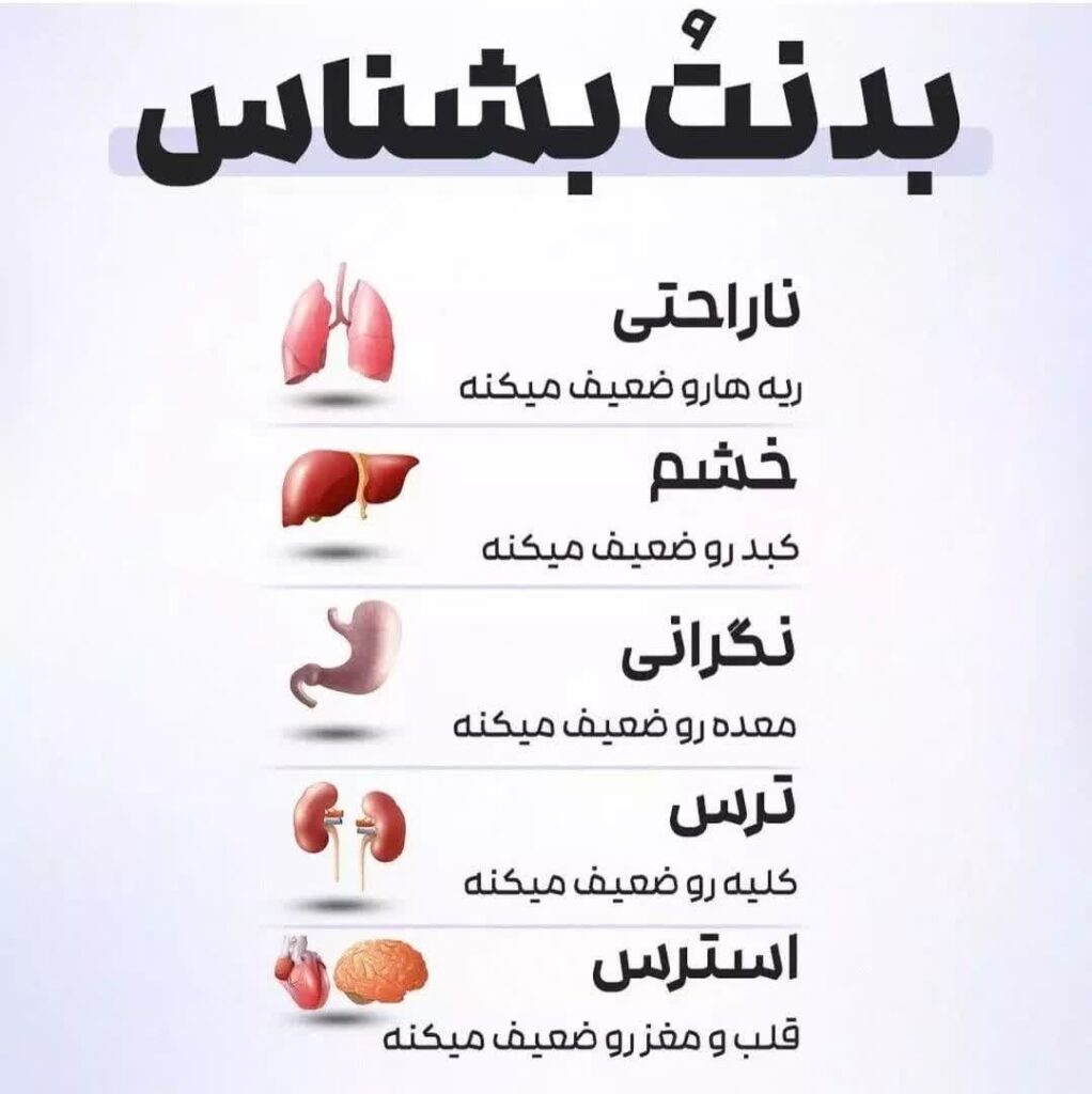 تاثیر مثبت و مستقیم پودر ابردوا روی اعضای مختلف بدنبدن